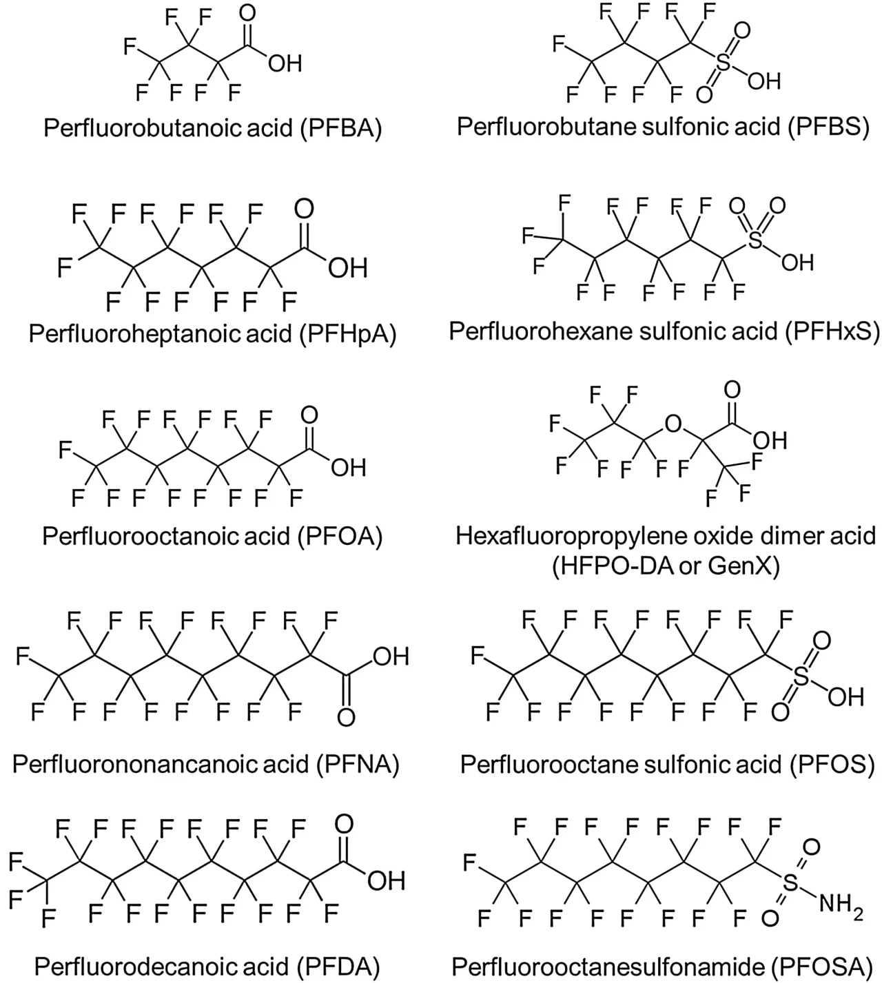PFAS molecular structure carbon fluorine bond persistent chemicals